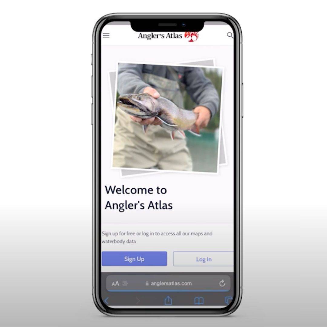 Kootenay-Lake-Angler-Incentive-Events-Anglers-Atlas-MyCatch-App-Picture